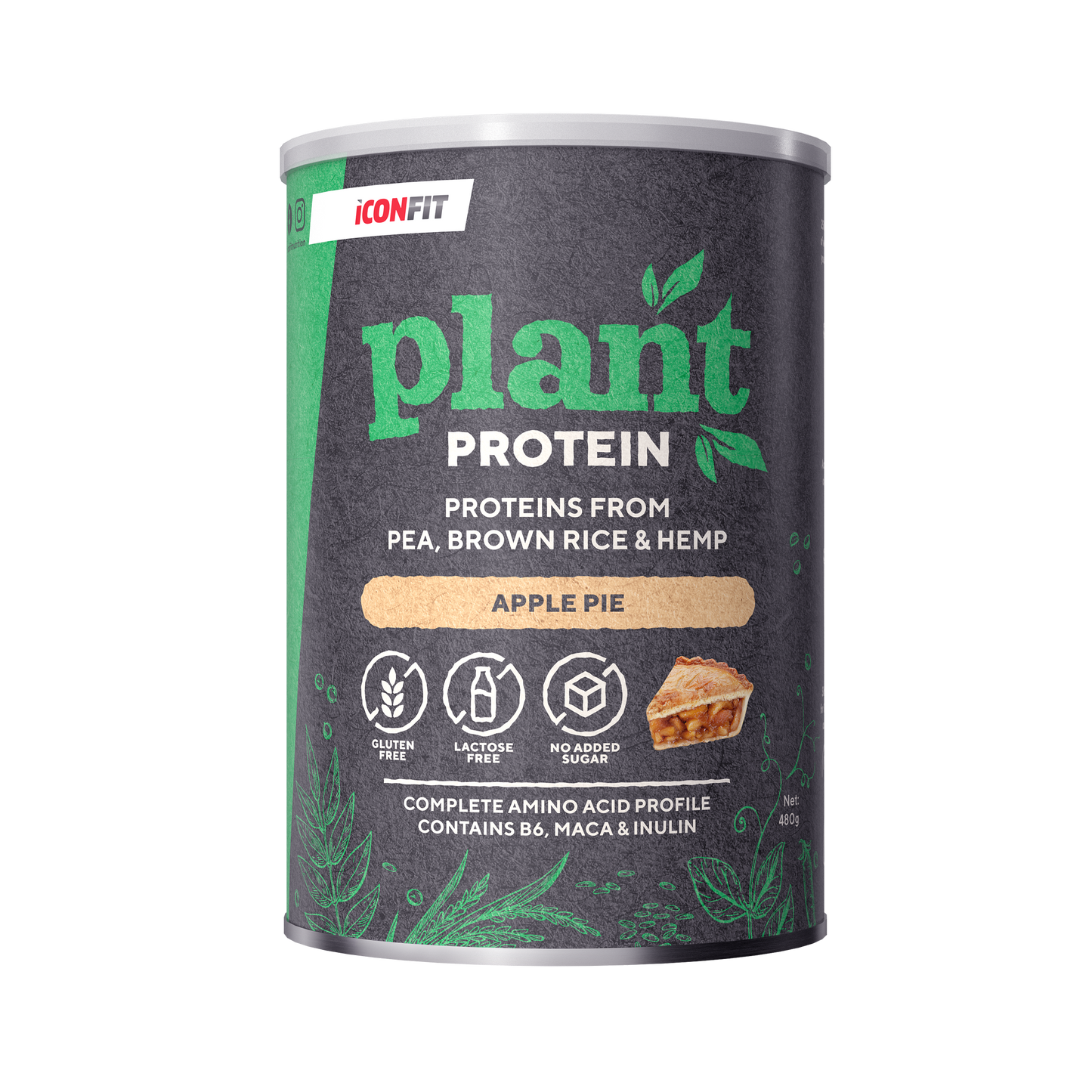 ICONFIT Augu Proteīns (480g)